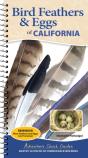 Bird Feathers & Eggs Of California - Preview
