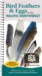 Bird Feathers & Eggs Of The Pacific Northwest - Preview
