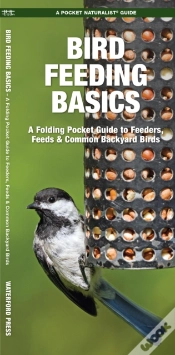Capa do artigo Bird Feeding Basics