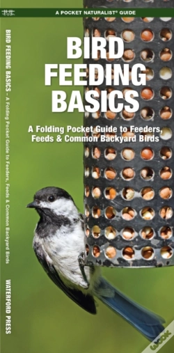 Capa do artigo Bird Feeding Basics
