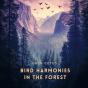 Bird Harmonies In The Forest - Preview