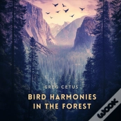Capa do artigo Bird Harmonies In The Forest