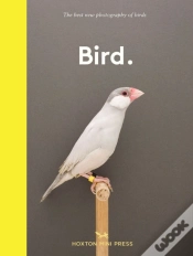 Capa do artigo Bird.