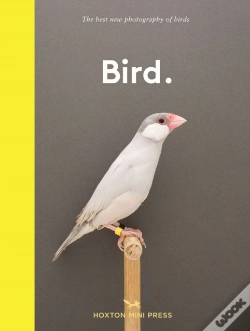 Capa do artigo Bird.