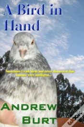 Capa do artigo Bird In Hand