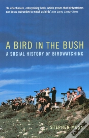 Capa do artigo Bird In The Bush