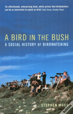 Capa do artigo Bird In The Bush