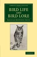 Bird Life And Bird Lore