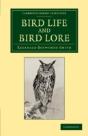 Bird Life And Bird Lore - Preview