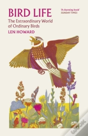Capa do artigo Bird Life