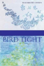 Bird Light - Preview