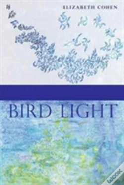 Capa do artigo Bird Light