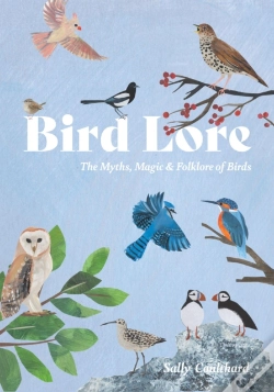 Capa do artigo Bird Lore