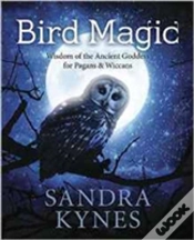 Capa do artigo Bird Magic