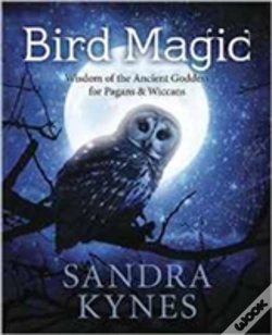 Capa do artigo Bird Magic