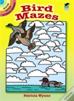 Capa do artigo Bird Mazes