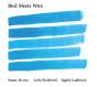 Bird Meets Wire - CD - Preview