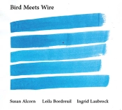 Capa do artigo Bird Meets Wire - CD
