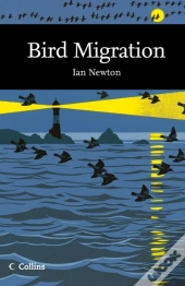 Bird Migration