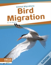Capa do artigo Bird Migration