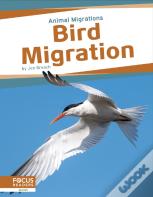 Bird Migration