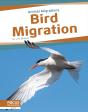 Bird Migration - Preview