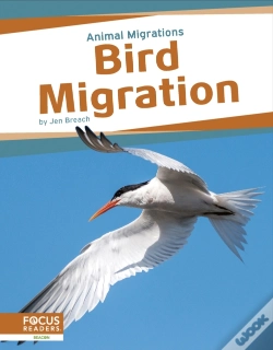 Capa do artigo Bird Migration