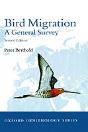 Bird Migration - Preview
