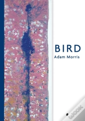 Capa do artigo Bird