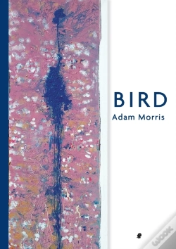 Capa do artigo Bird