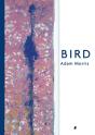 Bird - Preview