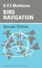 Bird Navigation - Preview