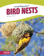 Bird Nests - Preview