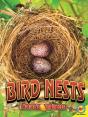 Bird Nests - Preview