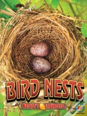 Capa do artigo Bird Nests