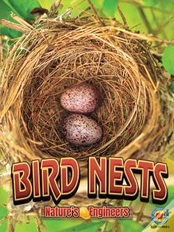Capa do artigo Bird Nests