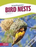 Bird Nests