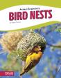 Bird Nests - Preview