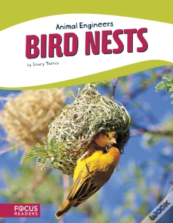 Capa do artigo Bird Nests
