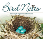 Bird Nests - Preview