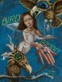 Bird Odyssey - Preview