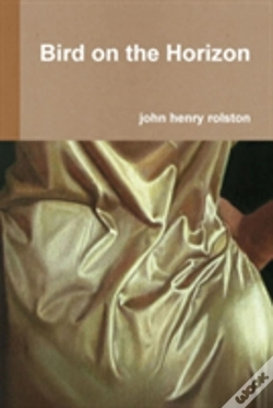 Capa do artigo Bird On The Horizon