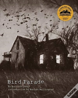 Capa do artigo Bird Parade
