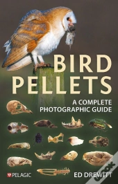 Bird Pellets