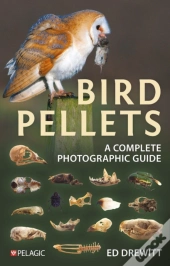 Bird Pellets