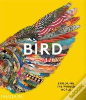 Capa do artigo Bird