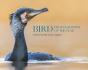 Bird Photographer Of The Year - Preview