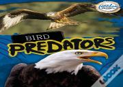 Bird Predators