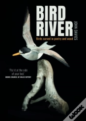 Capa do artigo Bird River