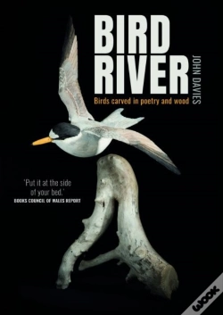 Capa do artigo Bird River